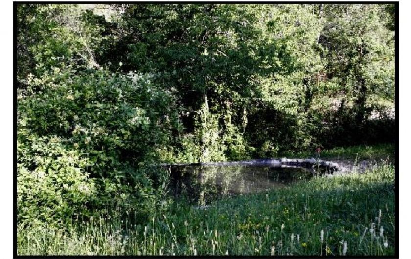 Vila Ferme La Viste La Roche-sur-le-Buis Exteriér fotografie